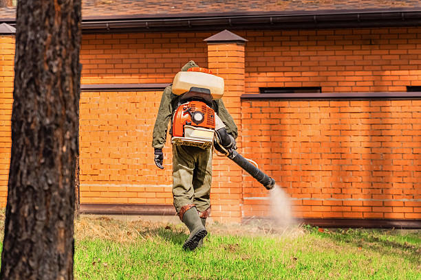 Trusted Cockroach Control service in Andrews, SC - Nex Pest Control
